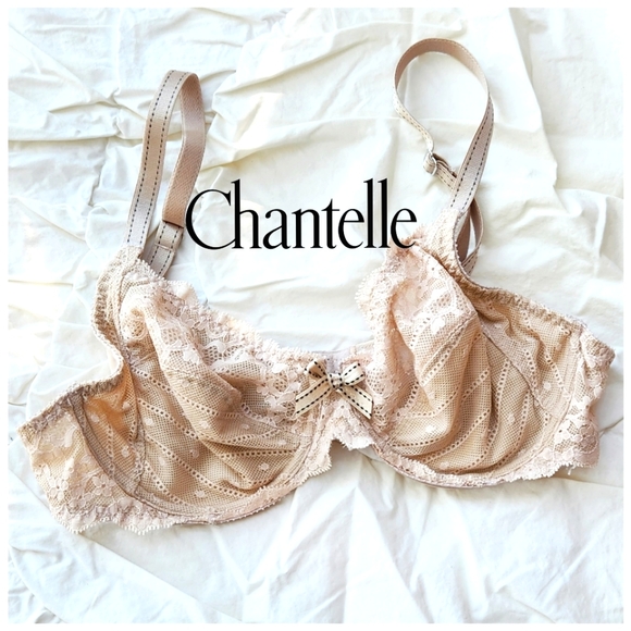 Chantelle Intimates & Sleepwear Chantelle Rive Gauche Bra Poshmark